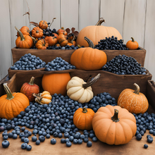 Load image into Gallery viewer, Blueberry Pumpkin Bath & Body
