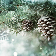 Load image into Gallery viewer, Simply Evergreen Cuticle Oil & Balm