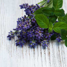 Load image into Gallery viewer, Simply Lavender & Mint Cuticle Oil & Balm