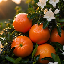 Load image into Gallery viewer, Simply Tangerine &amp; Jasmine Cuticle Oil &amp; Balm