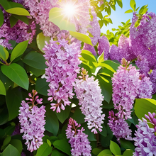 Load image into Gallery viewer, Lilac Cuticle Oil &amp; Balm