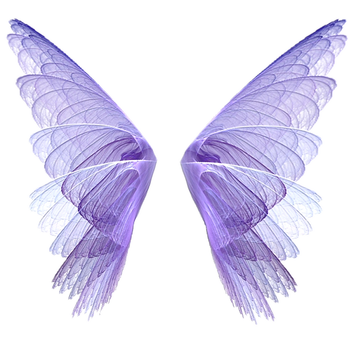Pixie Wings Bath & Body