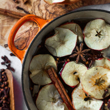 Load image into Gallery viewer, Another Man&#39;s Potpourri Home Fragrance