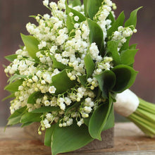 Load image into Gallery viewer, Lily of the Valley Cuticle Oil &amp; Balm