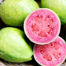 Guava Passion Cuticle Oil & Balm
